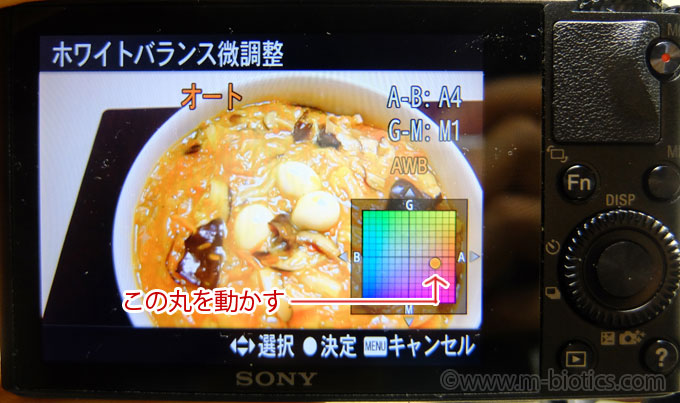 ソニー　RX100　絞り優先　ホワイトバランス調整