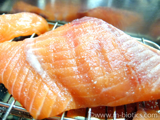 生鮭　塩を振る　鮭めし　レシピ　鮭飯