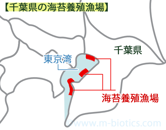 千葉県　海苔　産地