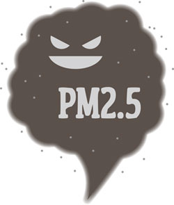 PM2.5