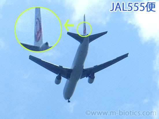 飛行機 JAL555　写真