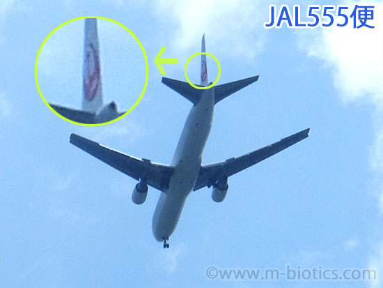 飛行機 JAL555 写真