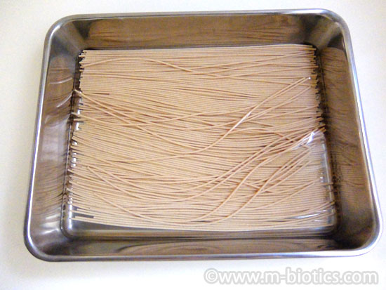 スペルト小麦　ファッロ小麦全粒粉　スパゲティー　アルチェネロ　三時間浸水させたところ
