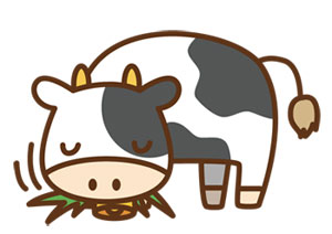 一般的な乳牛のエサ