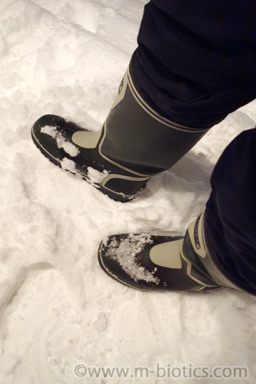 雪かき　ダンロップ　ドルマン　長靴