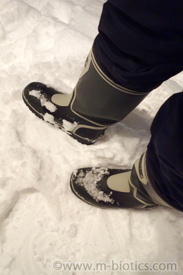 雪かき ダンロップ ドルマン 長靴