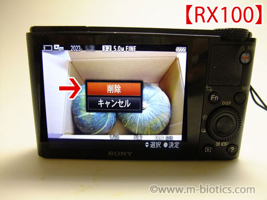 デジカメ　SDカード　画像削除　RX100