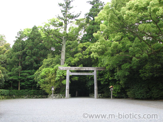 伊勢神宮 外宮