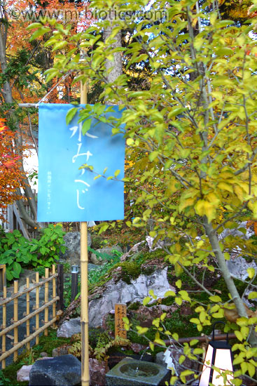 旭川神社　手水舎周辺　庭　水みくじ