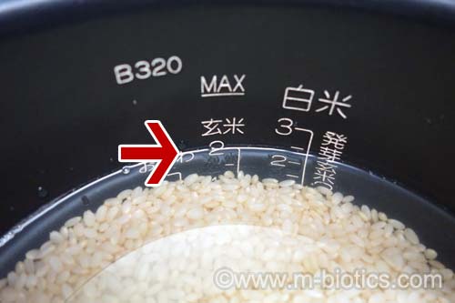 玄米　象印の炊飯器で炊く　内釜のメモリまで水を入れる