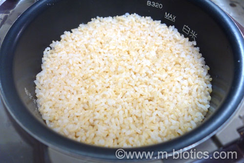 玄米　象印の炊飯器で炊く　炊きあがり