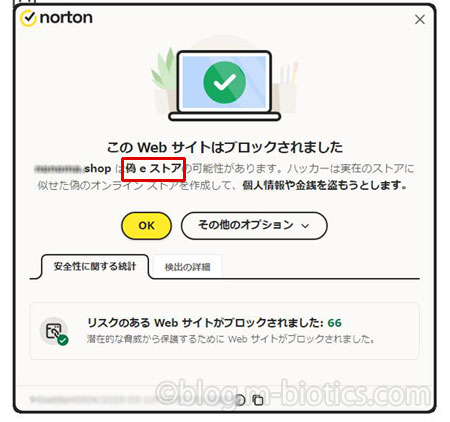 ノートン　警告　このwebストアはブロックされました　偽eストアの可能性