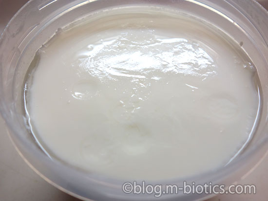 よつ葉　スキムミルク　大容量 1kg　ヨーグルト作り　完成
