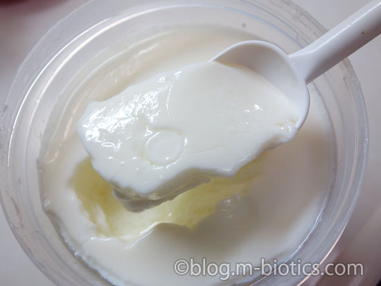 よつ葉　スキムミルク　大容量 1kg　ヨーグルト作り　完成　スプーンですくったところ