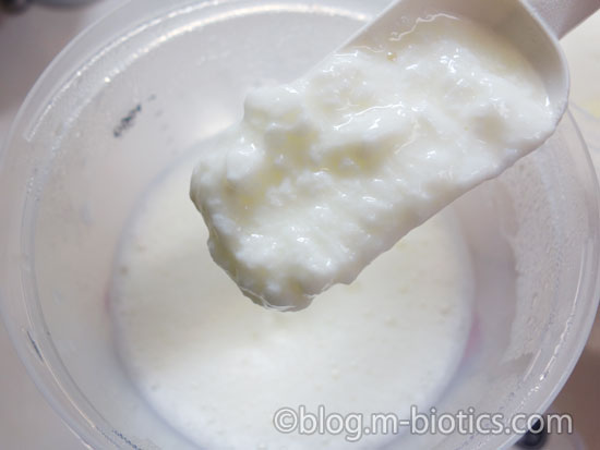 よつ葉　スキムミルク　大容量 1kg　ヨーグルト作り　種菌を入れる