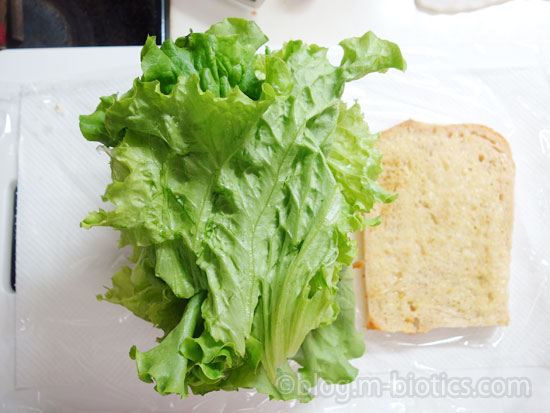 きんぴらごぼうサンドイッチ　レシピ　作り方　パンにのせたきんぴらごぼうの上にレタスをのせる