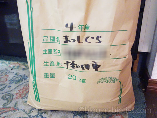 青森県産　まっしぐら　レビュー