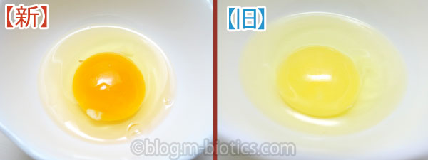 卵　有精卵　黄身の色が薄い　濃い黄身との比較