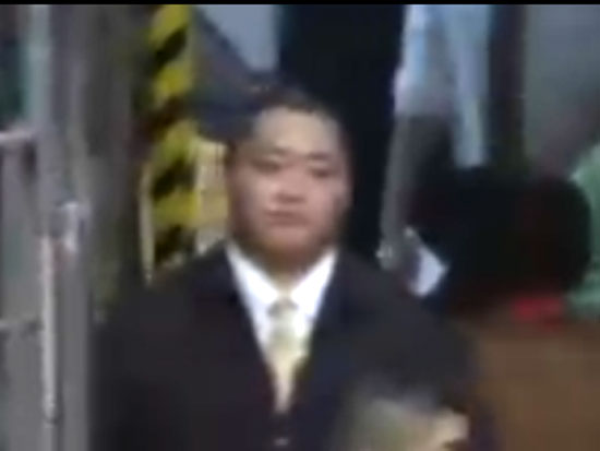 大相撲　遠藤　花道に立つ