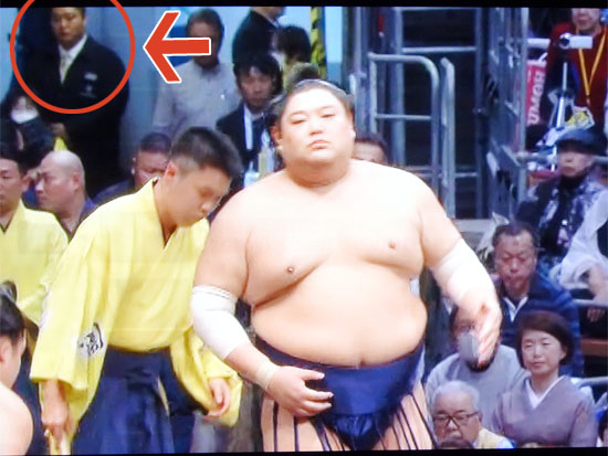 大相撲　遠藤　花道に立つ