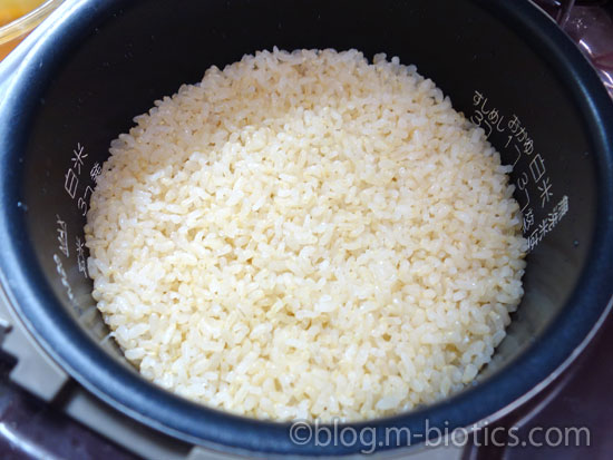 有機JAS玄米 たきたて 炊飯器で炊きあげたところ