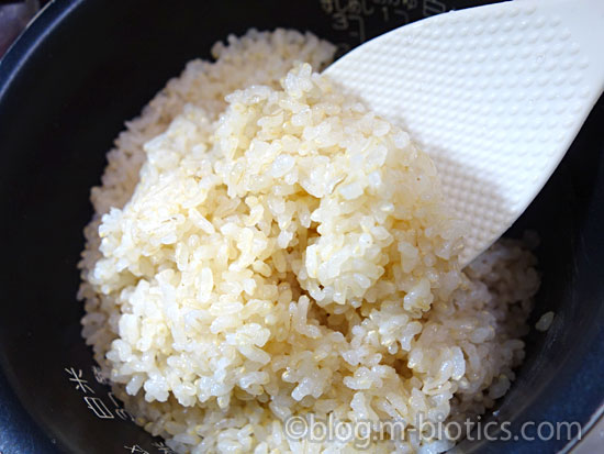 有機JAS玄米 たきたて 炊きたてをしゃもじで混ぜているところ