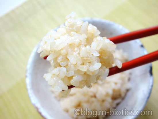 有機JAS玄米 たきたて 茶碗によそったご飯を箸で一口分取ったところ