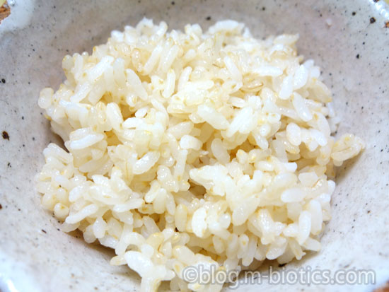 有機JAS玄米 たきたてと古米を混ぜて炊いてみたものを茶碗によそった