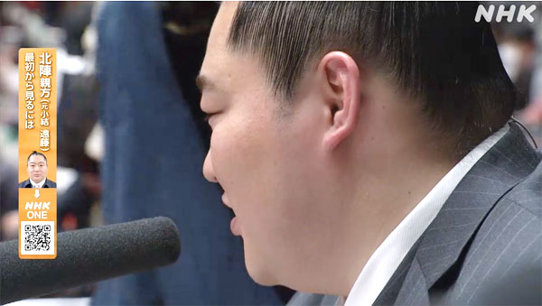 大相撲 遠藤解説 遠藤の横顔