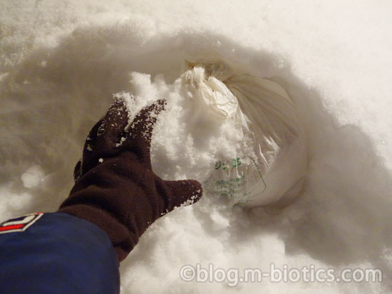 北海道 冬 外の雪に食べ物を埋める うどん 雪をかぶせているところ