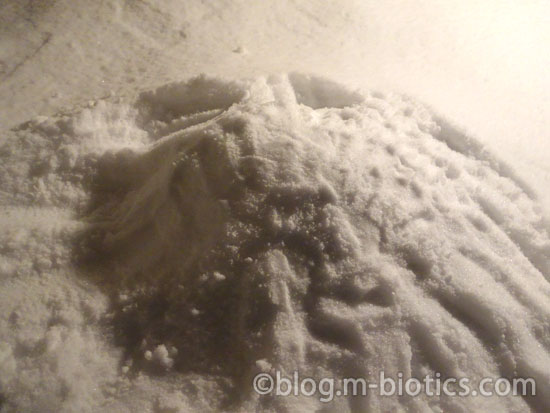 北海道 冬 外の雪に食べ物を埋める うどん 埋め終えたところ