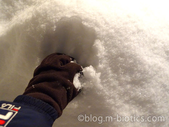 北海道 冬 外の雪に食べ物を埋める 雪山を掘る