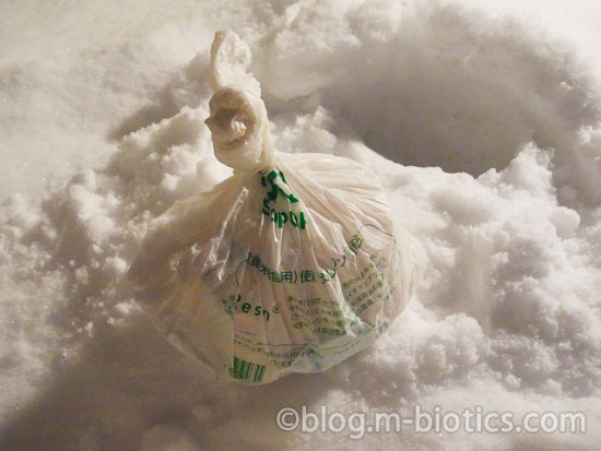 北海道 冬 外の雪に食べ物を埋める 雪山を掘る