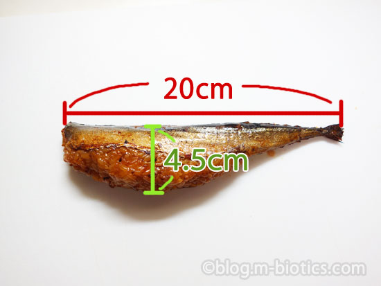 焼きサンマ飯 エビスパック サイズ