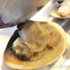 【17】おかげ横丁「貝新」で、桑名の焼き蛤を食べる?幻の計画案が実現する奇跡